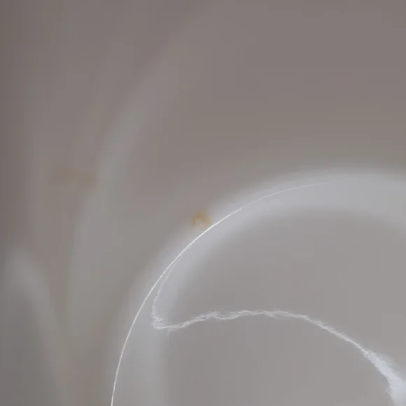 2008 Release Starbucks 35th Anniversary Siren Mermaid Coffee Mug - 12oz - Picture 8 of 9